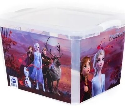 Caja deco 45 lts. Frozen-2742