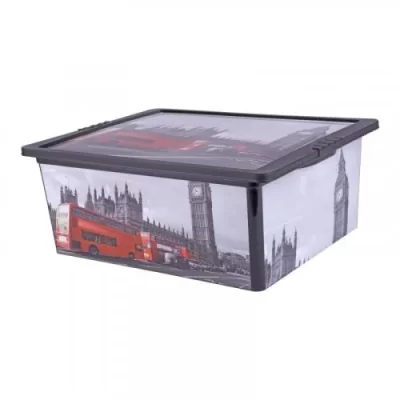 Caja plastica decorada 5.5 lts-8491