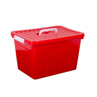 Caja mediana con trabas y manija-5954